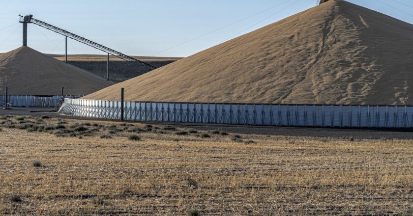 Image: HanjoHellmann/stock.adobe.com