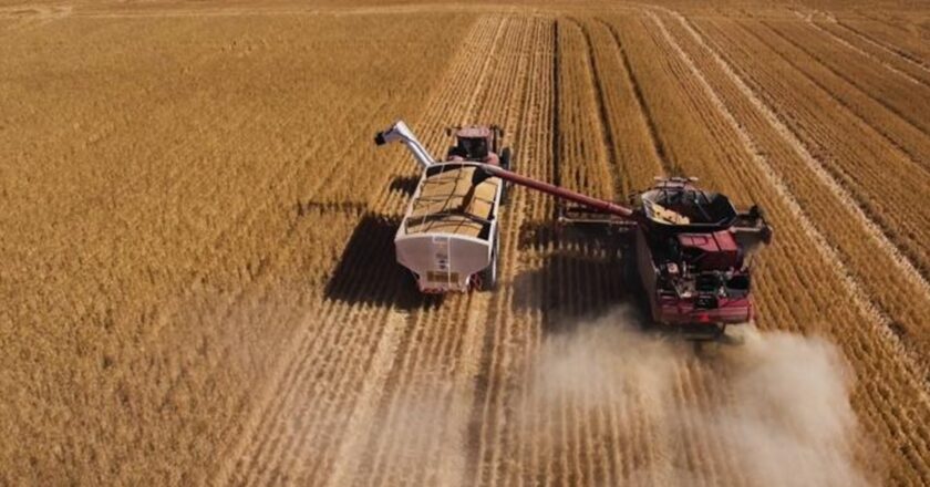 GrainCorp