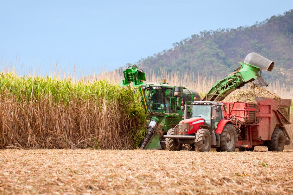 Canegrowers