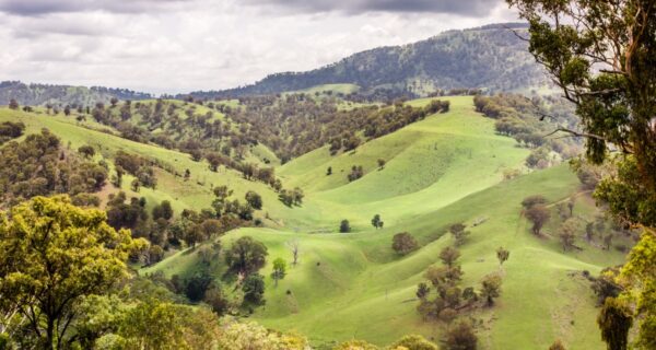 Hunter Valley Mining Expo