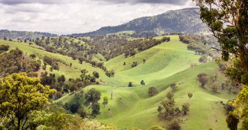 Hunter Valley Mining Expo